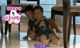 兔兔娱乐和八卦爆料,明星八卦背后的真相大起底