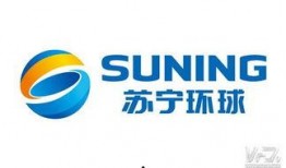 苏宁环球员工最新爆料,揭秘公司内部最新动态与争议